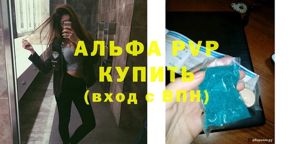 мдпв Ельня