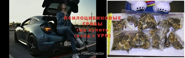 a pvp Елизово