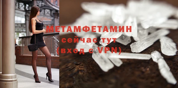 мдпв Ельня