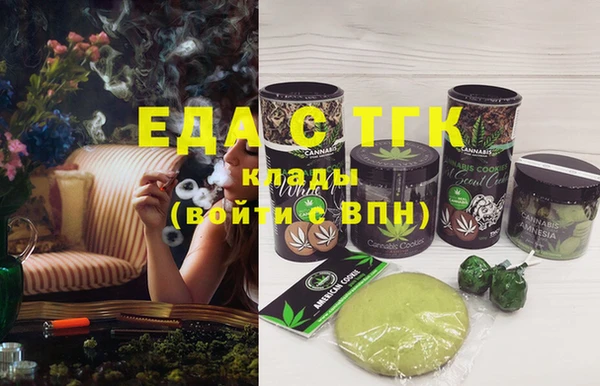 мдпв Ельня