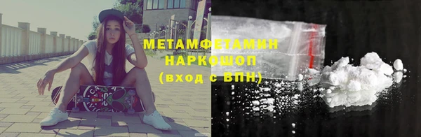 мдпв Ельня