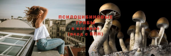 a pvp Елизово
