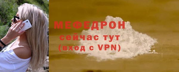 мдпв Ельня
