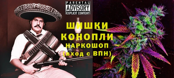 мдпв Ельня