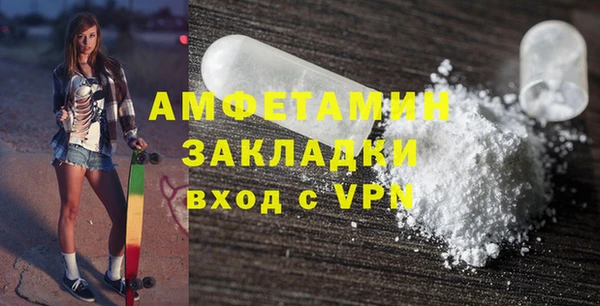мдпв Ельня