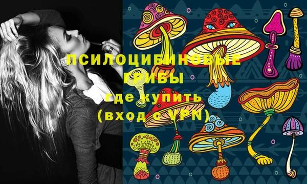 a pvp Елизово