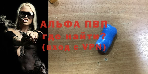 мдпв Ельня