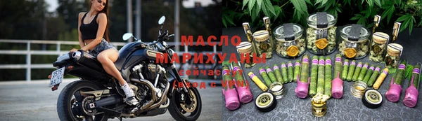 мдпв Ельня