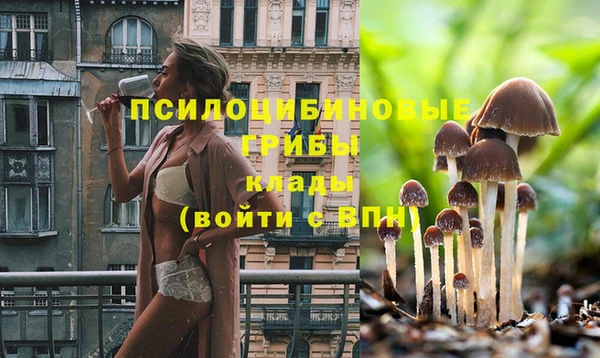 мдпв Ельня