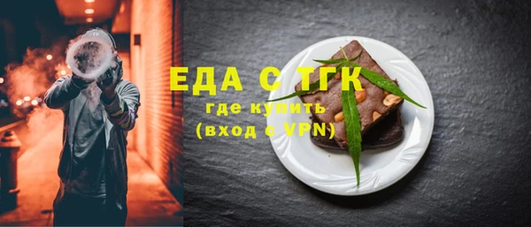 мдпв Ельня