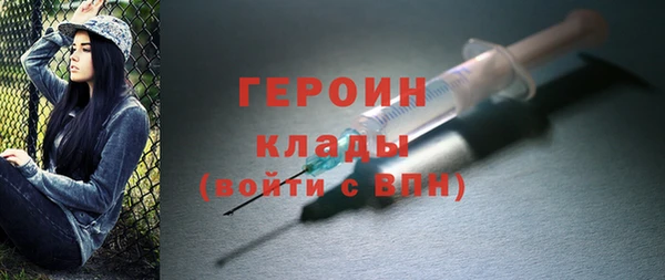 мдпв Ельня