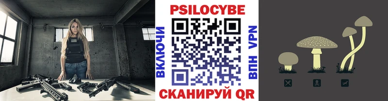 Галлюциногенные грибы Psilocybe  Купить  Гвардейск 